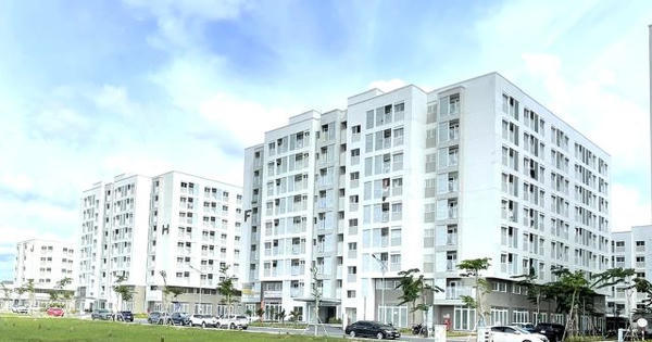 Tối thiểu 1/3 diện tích kinh doanh nhà tái định cư phải đấu giá cho thuê