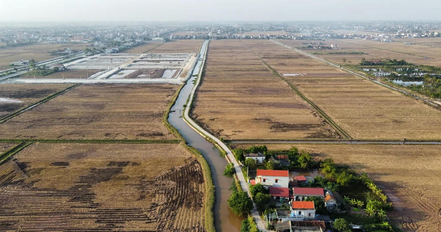 Bỏ cọc hơn 66% lô đất đấu giá tại Kim Sơn, Ninh Bình