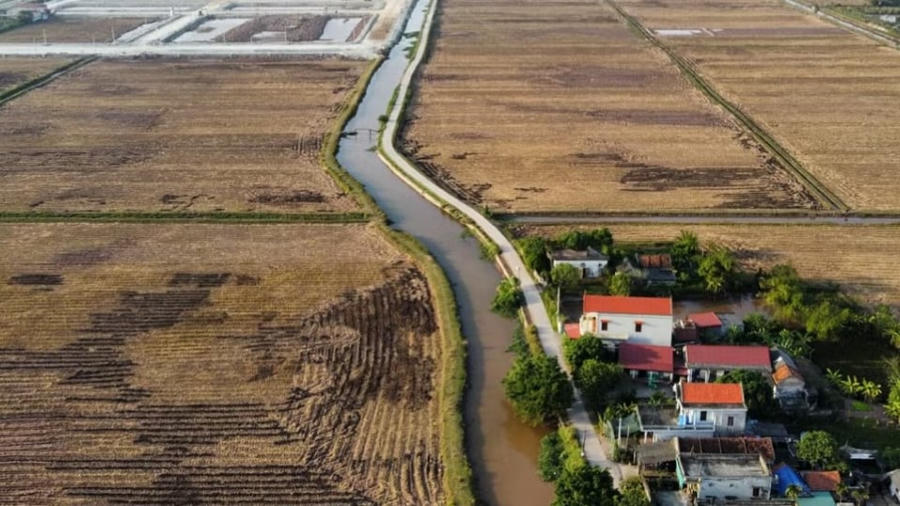 Đấu giá đất quê lúc sốt hầm hập, giờ lại đua nhau bỏ cọc