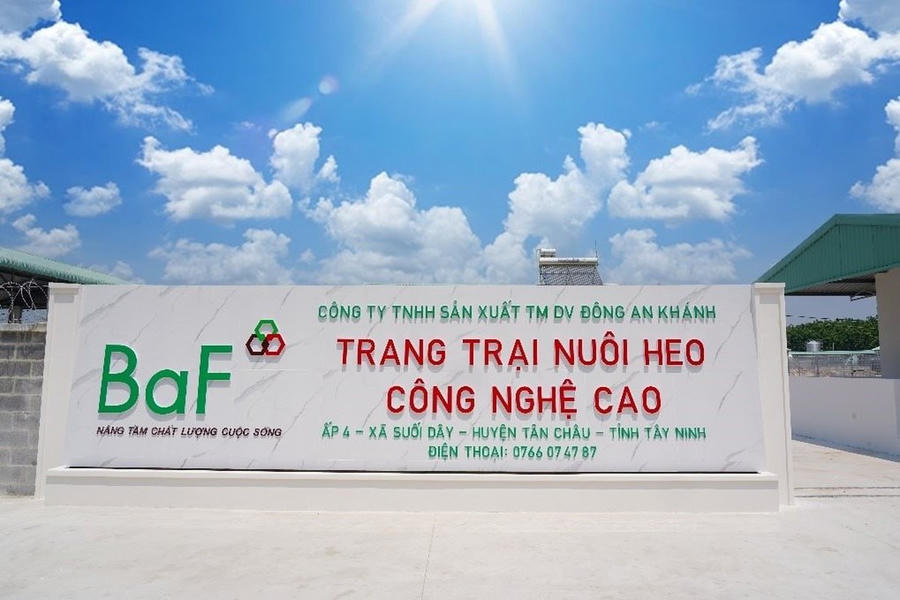 Chơi lớn đầu năm: BAF cầm cố loạt công ty con để thâu tóm khoản vay khủng từ "đại gia" Hà Lan