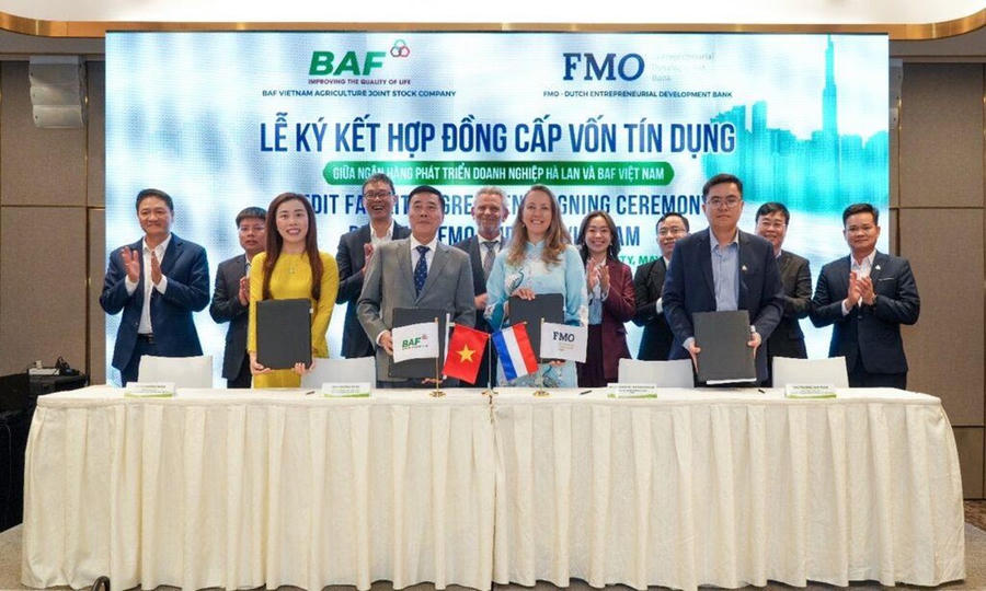 Nông nghiệp BaF Việt Nam chốt deal lịch sử: Ngân hàng Phát triển Hà Lan rót thẳng 50 triệu USD "tiền tươi"