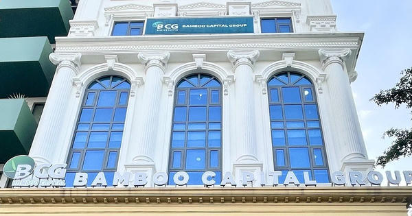 Bamboo Capital chính thức lên tiếng: Hé lộ 3 nguyên nhân cốt lõi khiến báo cáo tài chính "lỡ hẹn"
