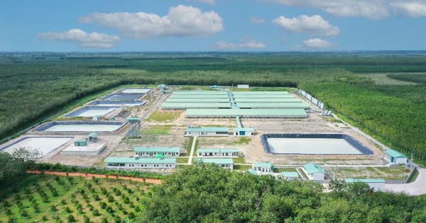 BAF Việt Nam phát hành hơn 60,8 triệu cổ phiếu cho cổ đông