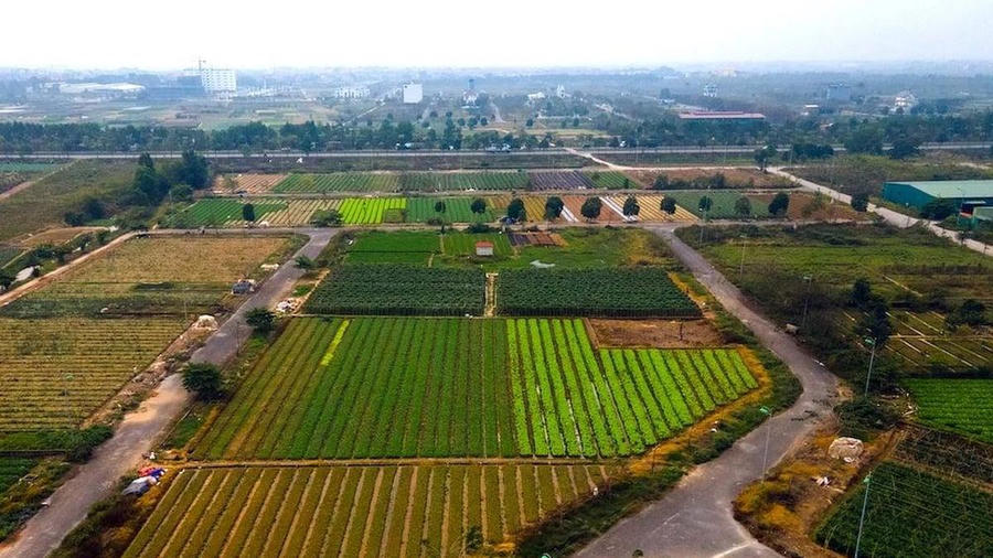 Bất động sản Mê Linh: tín hiệu rã băng nhờ hạ tầng và pháp lý