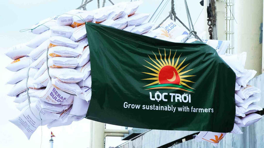Lộc Trời (LTG) bị nhà băng "tịch thu" hai bất động sản đắc địa