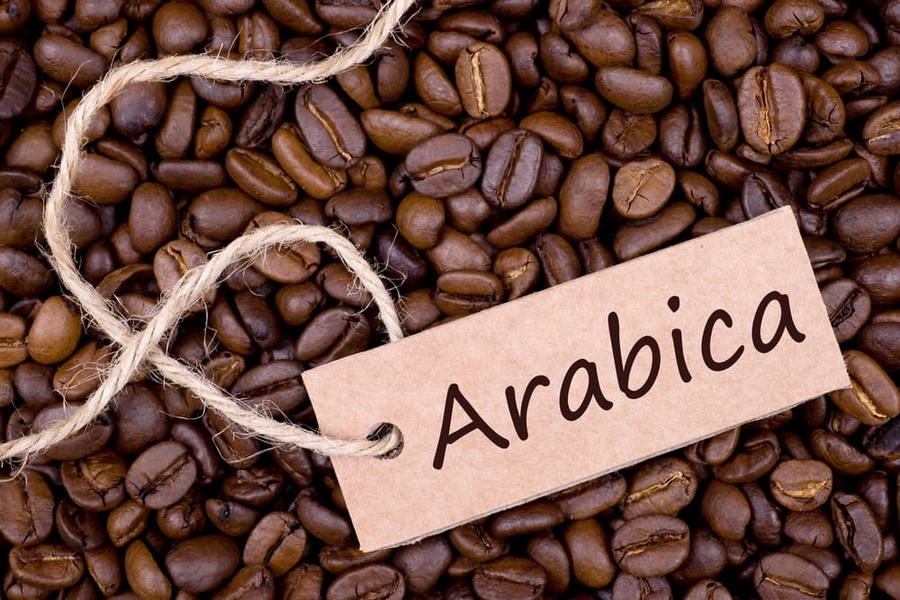Giá cà phê hôm nay 9/6: Robusta tăng, Arabica tiếp tục giảm