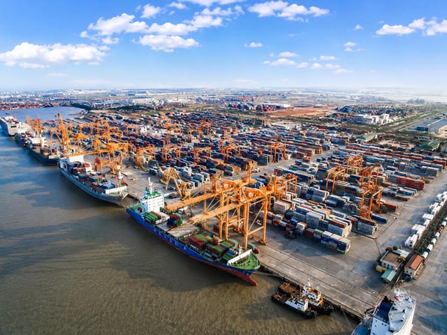 Cổ phiếu tăng gấp 7 lần, "ông trùm" tư vấn cảng biển vốn 40 tỷ sắp phát quà cổ tức tỷ lệ 39%