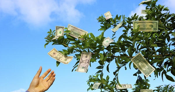 Dệt may Hòa Thọ "đổi món" cổ tức: Chia bằng cổ phiếu sau 3 năm tiền mặt, giữa lúc thị giá ảm đạm