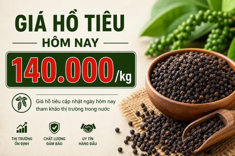 Giá tiêu hôm nay 12/6: Thị trường trong nước neo vùng giá cao