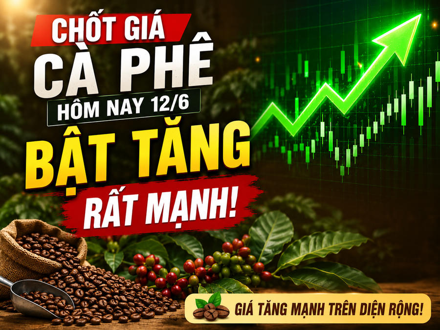 Chốt giá cà phê hôm nay 12/6: Bật tăng rất mạnh lên 87.600 đồng/kg