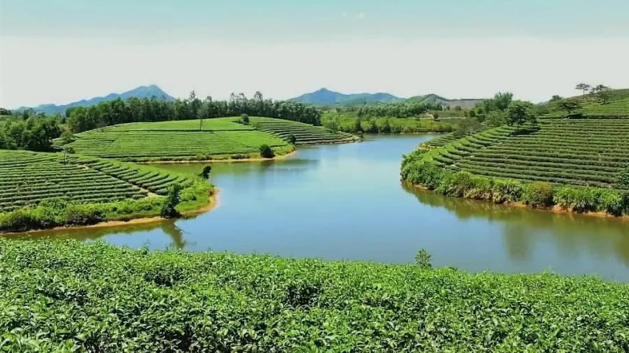 Nghệ An bãi bỏ quy hoạch dự án Cầu Cau gần 380ha