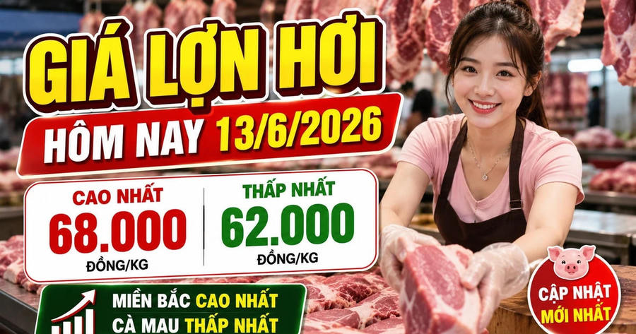 Giá lợn hơi hôm nay 13/6: Hà Nội 68.000 đồng/kg, Cà Mau 62.000