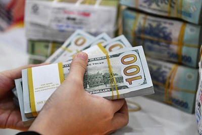 Tỷ giá USD hôm nay 16-6: USD giảm, tỷ giá trung tâm tăng lên 25.165 đồng