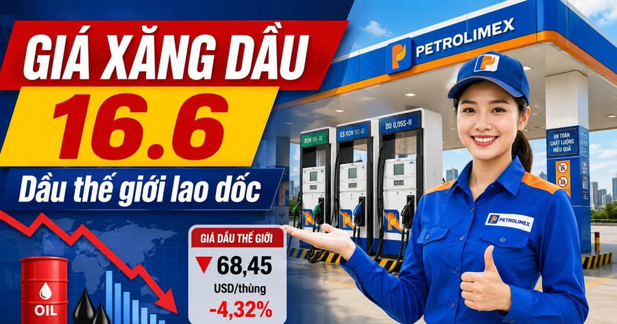 Giá xăng dầu hôm nay 16/6: WTI giảm còn 81,14 USD/thùng