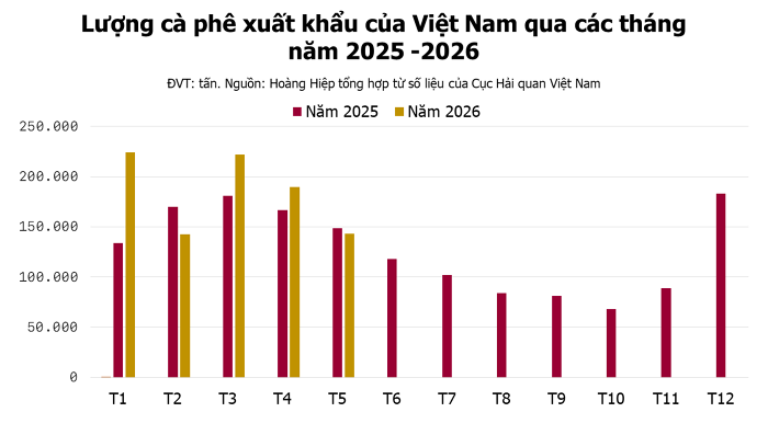 USDA nâng dự báo sản lượng cà phê Việt Nam tiếp tục tăng