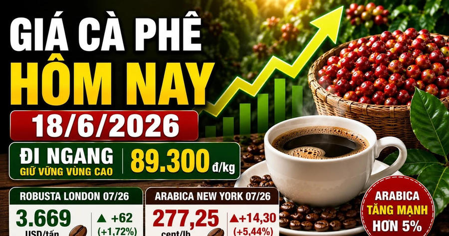 Giá cà phê hôm nay sáng 18/6: Arabica bật tăng mạnh, Tây Nguyên giao dịch bao nhiêu