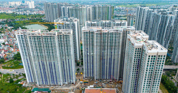 Biến động bất thường của thị trường chung cư Hà Nội, TP.HCM, Đồng Nai, Hưng Yên...