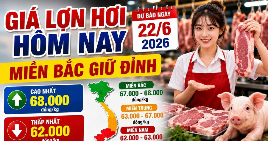 Giá lợn hơi hôm nay 22/6: Miền Bắc neo 68.000 đồng/kg