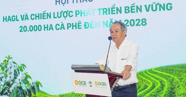 Bầu Đức mua xong 4 triệu cổ phiếu HAG, nâng sở hữu lên 25,4%