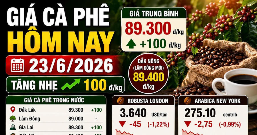 Giá cà phê hôm nay sáng 23/6: Nhích nhẹ lên 89.300 đồng/kg