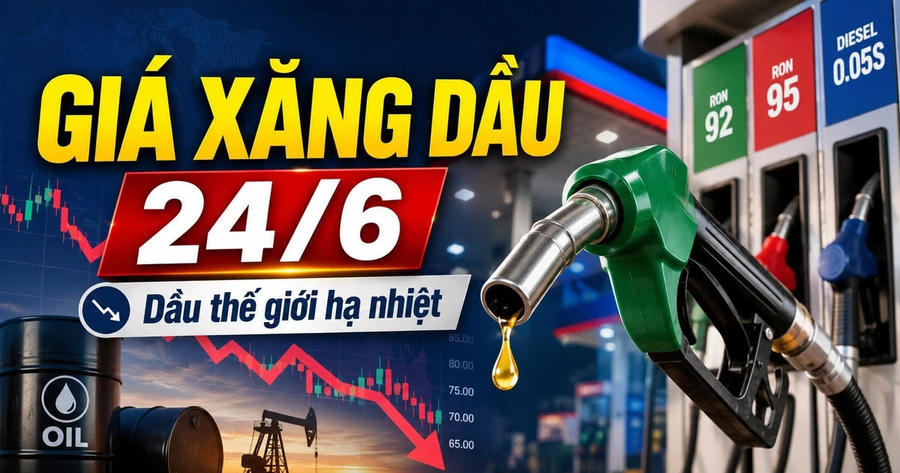 Giá xăng dầu hôm nay 24/6: Trong nước ổn định, thế giới hạ nhiệt