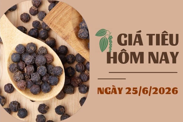 Chốt giá hồ tiêu hôm nay 25/6: Trong nước 137.000-139.000 đồng/kg