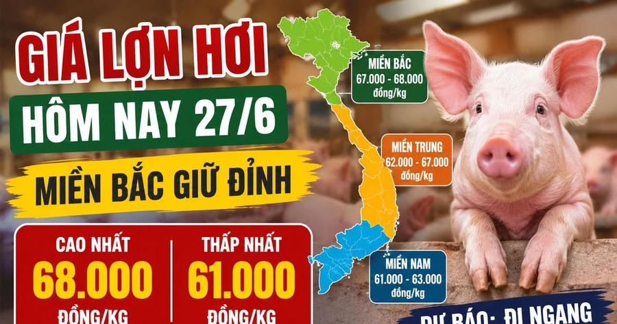 Giá lợn hơi hôm nay 27/6: Miền Bắc giữ đỉnh 68.000 đồng/kg