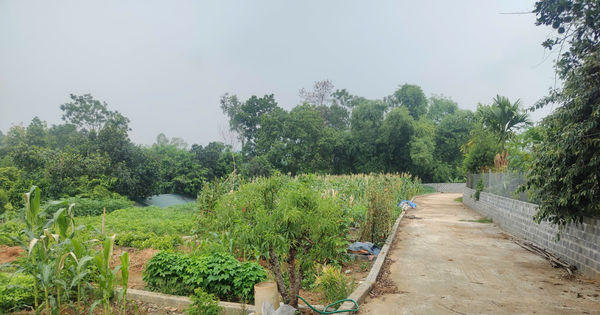 Đầu cơ gặp khó, dòng tiền tìm đến bất động sản giá trị thật