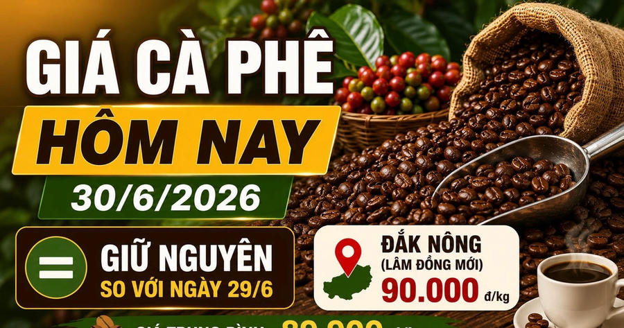 Giá cà phê hôm nay 30/6: Việt Nam chiếm 20% thị phần EU