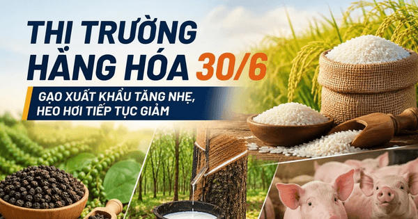 Giá gạo tăng nhẹ, heo hơi còn 61.000 - 67.000 đồng/kg ngày 30/6