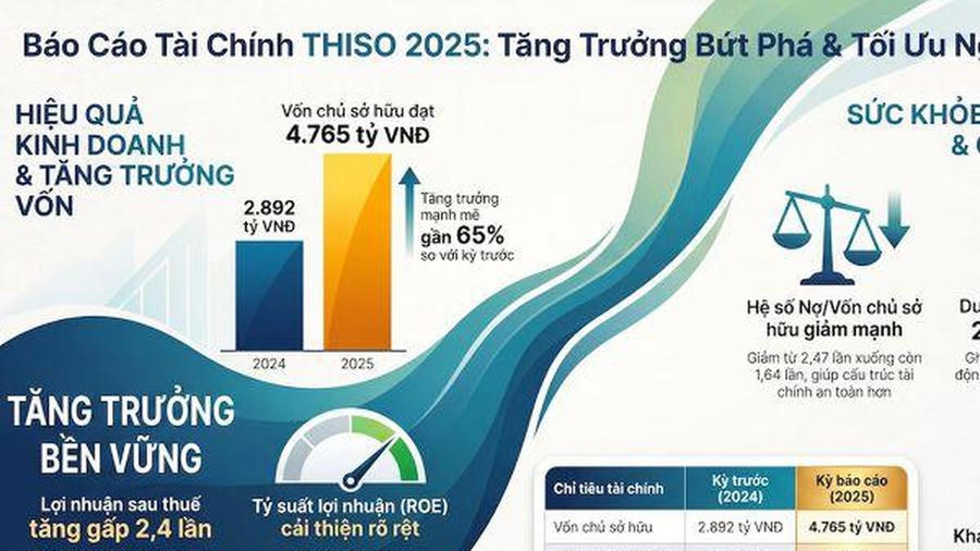 Bức tranh tài chính của THISO có gì đáng chú ý?