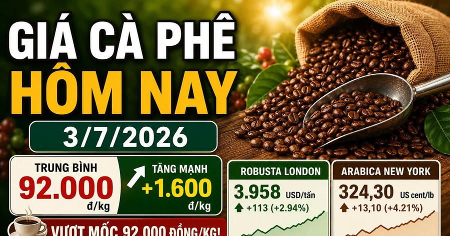 Giá cà phê hôm nay sáng 3/7: Đồng loạt tăng phi mã lên 92.000 đồng/kg